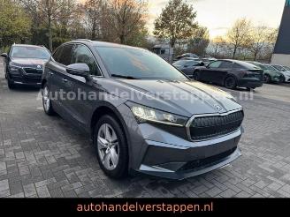 Skoda Enyaq 80 DAB+ Suite Convenience-Paket picture 4
