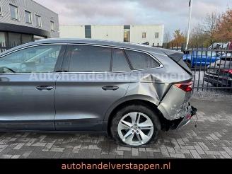 Skoda Enyaq 80 DAB+ Suite Convenience-Paket picture 7