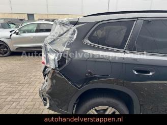 BMW X1 25e xDrive Sport 180KW PLUG IN picture 5