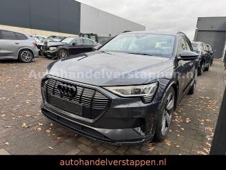 Audi E-tron 55 Quattro Advanced 95KWH picture 2