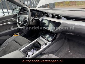 Audi E-tron 55 Quattro Advanced 95KWH picture 12