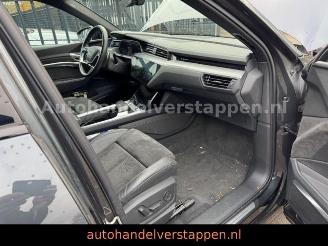 Audi E-tron 55 Quattro Advanced 95KWH picture 13