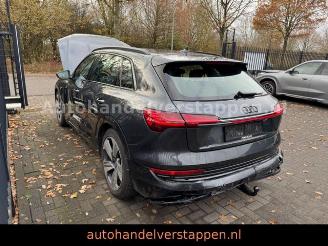 Audi E-tron 55 Quattro Advanced 95KWH picture 5
