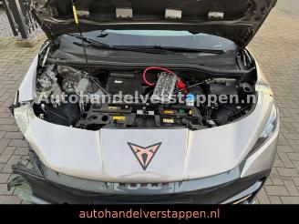 Cupra   picture 11