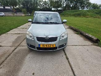 damaged passenger cars Skoda Fabia  2010/2