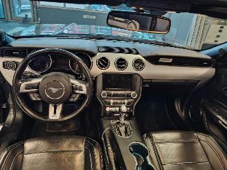 Ford Mustang  picture 11