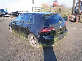 Volkswagen Golf 1.6 TDi picture 2