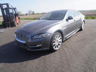 Jaguar XJ 3.0 D picture 3
