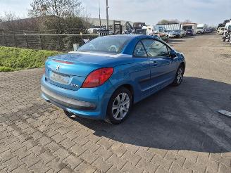 krockskadad bil bedrijf Peugeot 206 CC 2.0 16v 2004/8