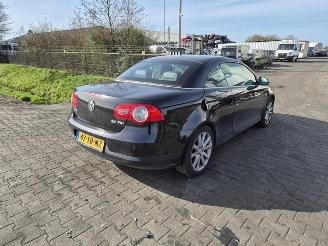 demontáž osobní automobily Volkswagen Eos 2.0 FSi 2006/7