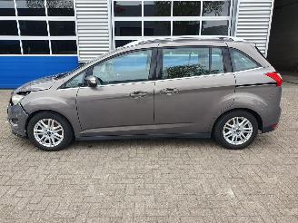 Ford Grand C-Max 1.0 Titanium 7persoons picture 4