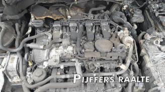 Volkswagen Tiguan Tiguan (AD1), SUV, 2016 / 2024 2.0 TSI 16V 4Motion picture 9