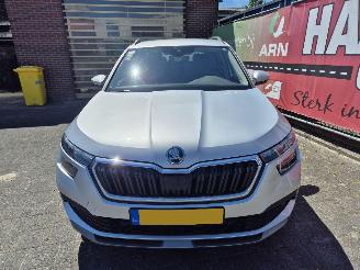 Skoda Kamiq 1.0 tsi business edition picture 6