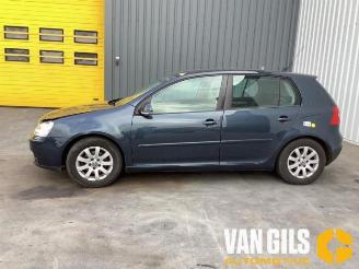 Volkswagen Golf Golf V (1K1), Hatchback, 2003 / 2010 1.9 TDI picture 8