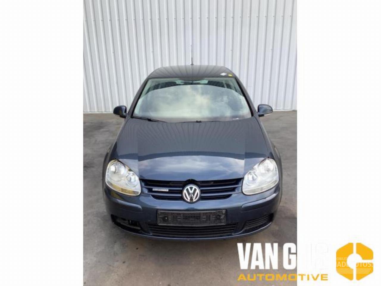 Volkswagen Golf Golf V (1K1), Hatchback, 2003 / 2010 1.9 TDI