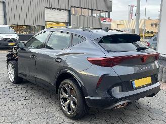 Cupra Formentor 1.5 TSI e-Hybrid Business picture 4