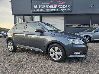 bruktbiler auto Skoda Fabia 1.2 TSI Ambition AUTOMAAT CRUISE PDC 2016/11