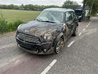 Mini Cooper 1.6-16V COUNTRYMAN picture 2