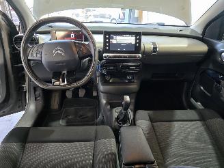 Citroën C4 cactus 1.2 PureTech Business picture 24