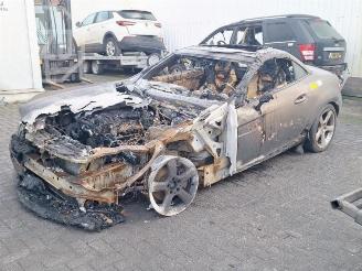 Mercedes SLK SLK (R172), Cabrio, 2011 / 2016 1.8 200 16V BlueEFFICIENCY picture 1