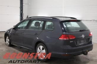 Volkswagen Golf Golf VII Variant (AUVV), Combi, 2013 / 2021 1.4 TGI 16V picture 2