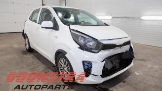 Kia Picanto Picanto (JA), Hatchback, 2017 1.0 DPi 12V picture 8