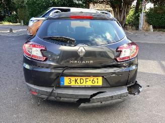 Renault Mégane  picture 6