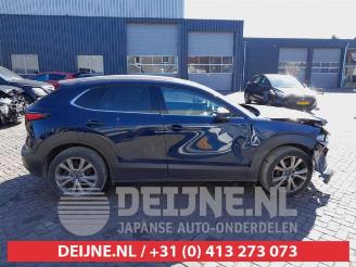 Mazda CX-30 CX-30 (DM), SUV, 2019 2.0 e-SkyActiv-G 122 16V picture 8