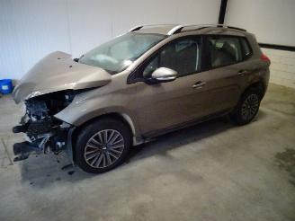 Peugeot 2008 1.2 THP picture 1