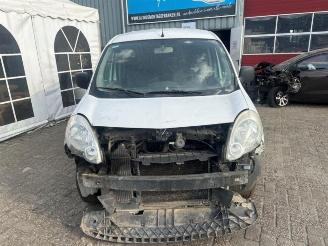 Renault Kangoo Kangoo Express (FW), Van, 2008 1.5 dCi 75 picture 2