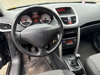 Peugeot 207  picture 6