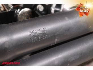 Harley-Davidson  FXDFSE Fat Bob CVO Cobra picture 22