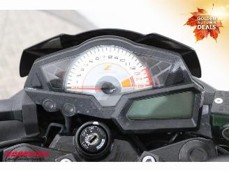 Kawasaki  Z 300 ABS picture 16