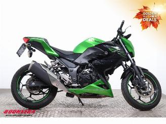 Kawasaki  Z 300 ABS picture 7