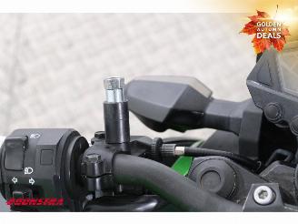 Kawasaki  Z 300 ABS picture 14