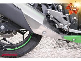 Kawasaki  Z 300 ABS picture 12