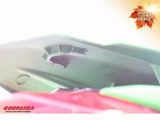 Kawasaki  Z 300 ABS picture 10