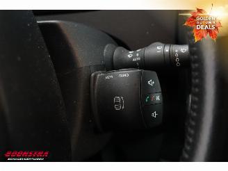 Renault Zoé R90 Entry (ex Accu) Navi Clima Cruise Camera PDC picture 15