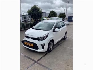 demontáž osobní automobily Kia Picanto Picanto (JA), Hatchback, 2017 1.0 DPi 12V 2022/12