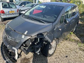 Opel Meriva 1.4 Cosmo picture 1