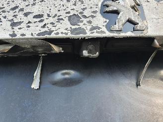 Peugeot 2008 P24E 1.2P Aut picture 36