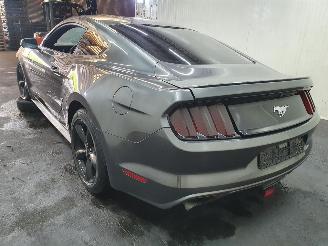 Ford Mustang Fastback 2.3 EcoBoost picture 4