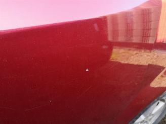 Dodge Caravan Grand Caravan, MPV, 2007 / 2020 3.8 picture 18