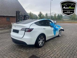 Tesla Model Y Model Y (5YJY), SUV, 2019 Long Range 72kWh picture 10