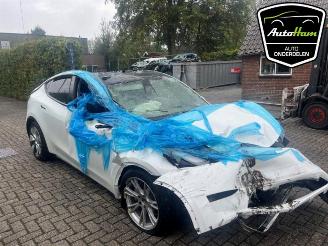 Tesla Model Y Model Y (5YJY), SUV, 2019 Long Range 72kWh picture 8