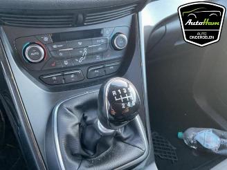 Ford C-Max C-Max (DXA), MPV, 2010 / 2019 1.0 Ti-VCT EcoBoost 12V 125 picture 14