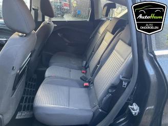 Ford C-Max C-Max (DXA), MPV, 2010 / 2019 1.0 Ti-VCT EcoBoost 12V 125 picture 16