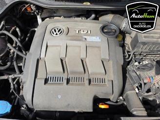 Volkswagen Polo Polo V (6R), Hatchback, 2009 / 2017 1.2 TDI 12V BlueMotion picture 19