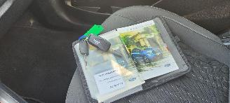 Ford EcoSport Ford EcoSport Cool & Connect navi camera picture 12