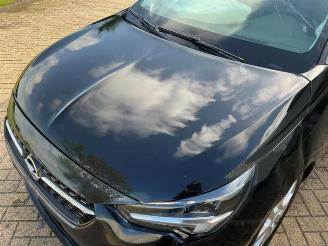 Opel Corsa Corsa F (UB/UH/UP), Hatchback 5-drs, 2019 1.5 CDTI 100 picture 12